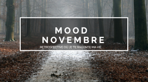raton reveur blog mood novembre