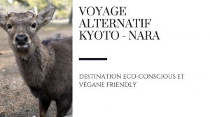 nara alternatif kyoto japon voyage raton reveur blog