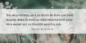 raton reveur débat végé facebook