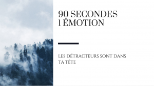 90 secondes. 1 émotion. Les detracteurs raton reveur blog
