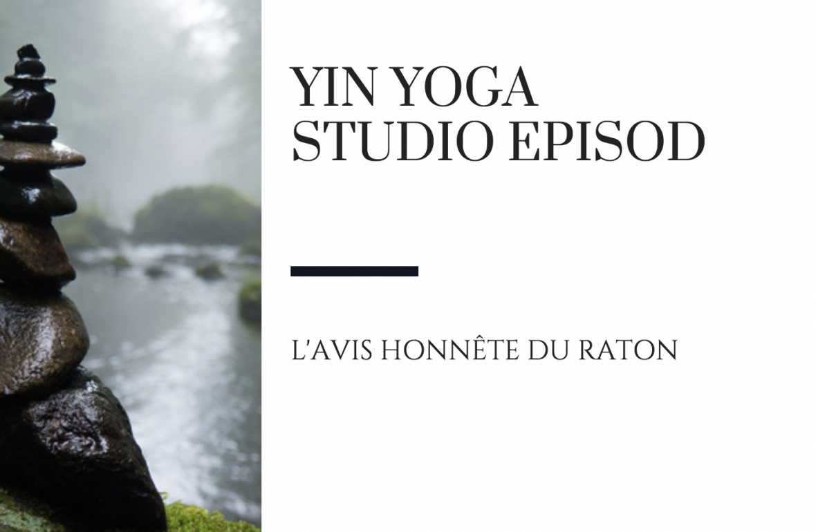 avis studio yoga episod ou faire yin yoga paris raton reveur blog