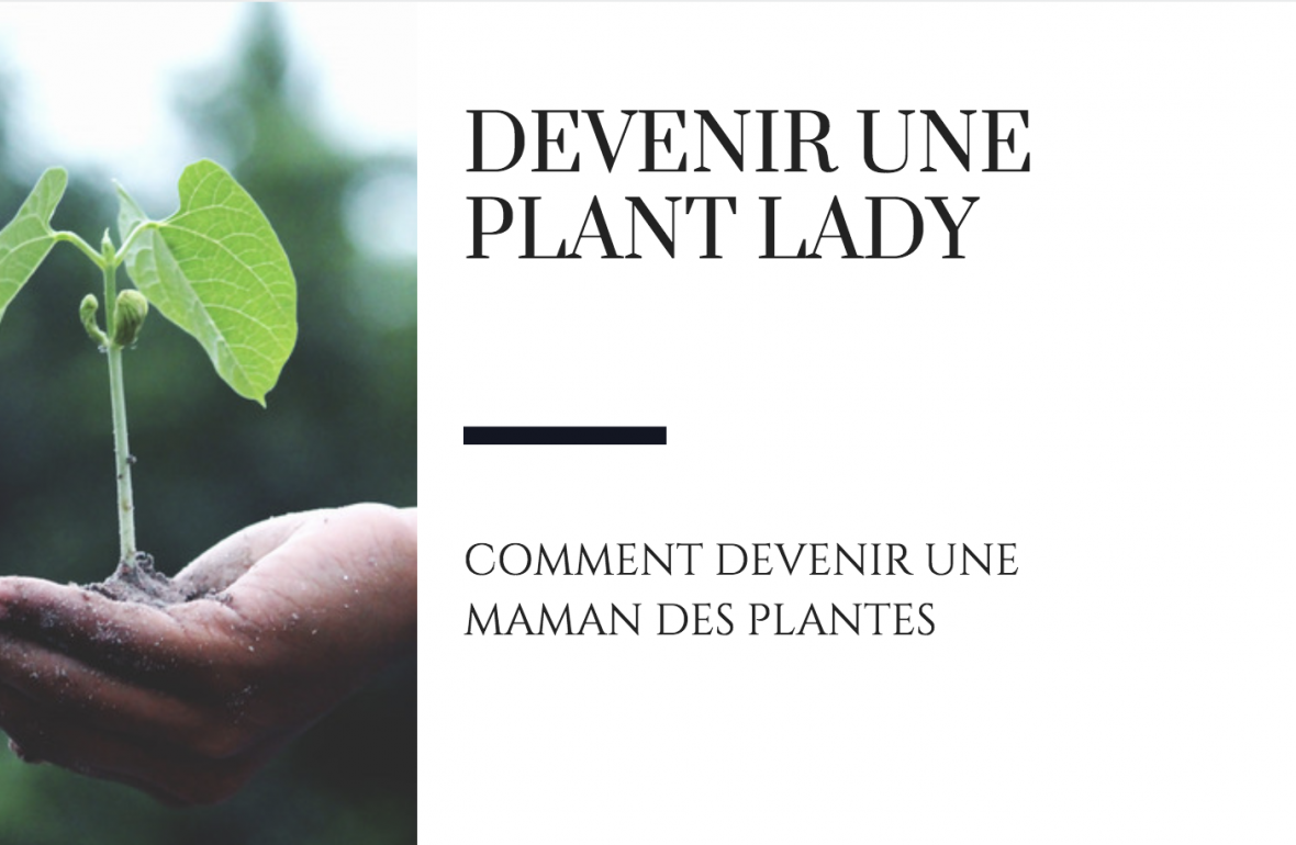 comment devenir une plant lady raton reveur blog