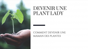 comment devenir une plant lady raton reveur blog