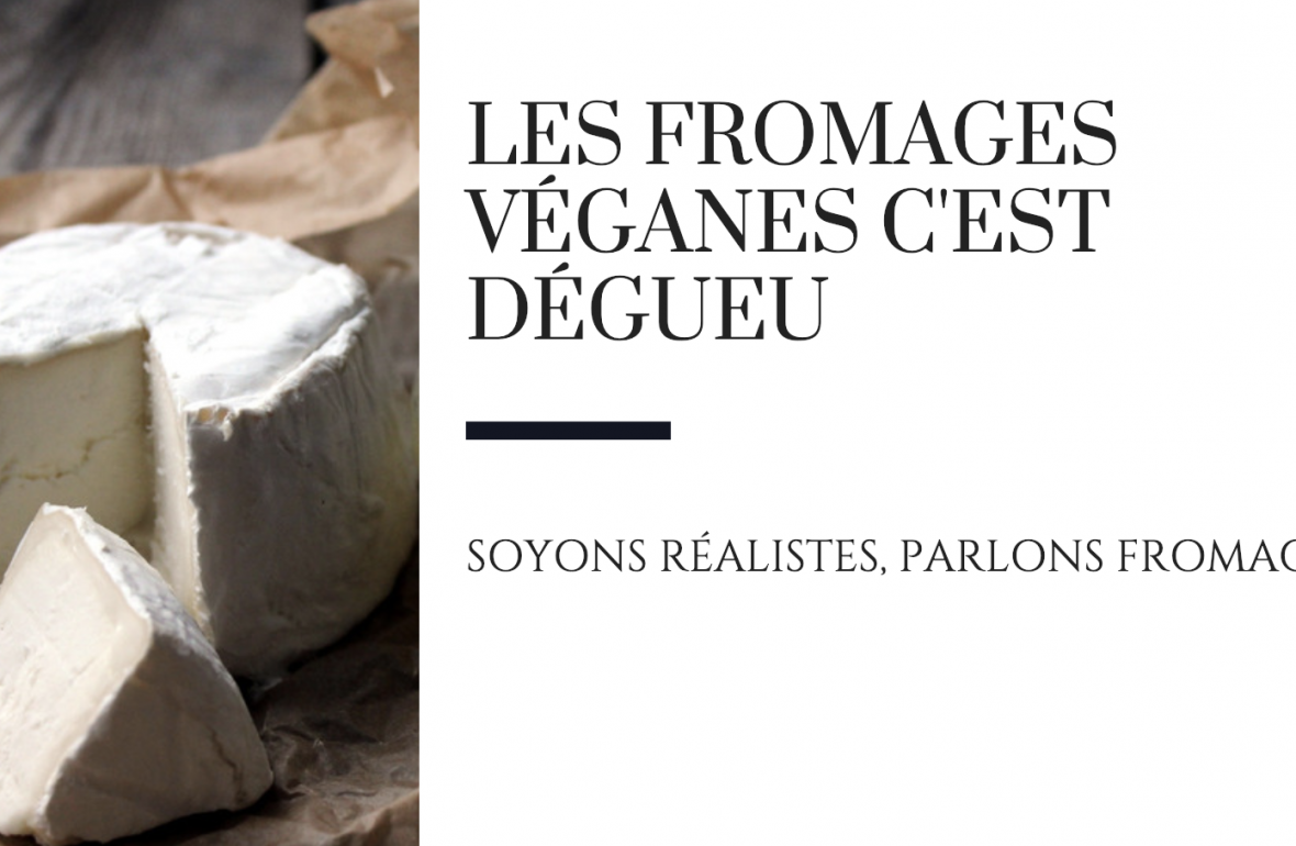 raton reveur blog avis fromage vegan fromage vegan pas bon fromage vegan trop cher pourquoi arreter fromage