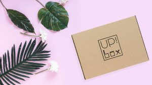up! box avis raton reveur box zero dechet devenir zero dechet